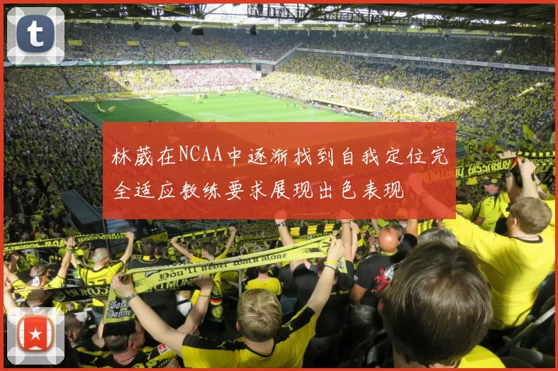 林葳在NCAA中逐渐找到自我定位完全适应教练要求展现出色表现