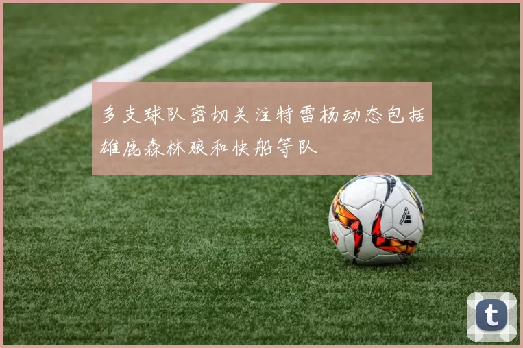 多支球队密切关注特雷杨动态包括雄鹿森林狼和快船等队
