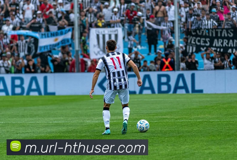 体育数据展示